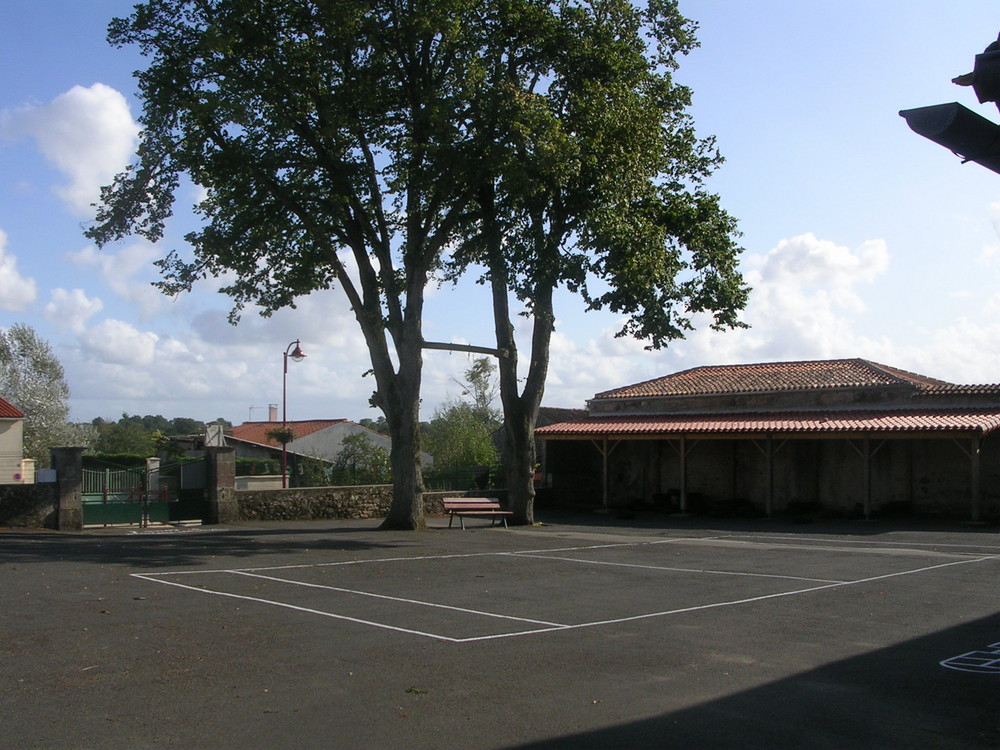 cour_des_primaires privee
